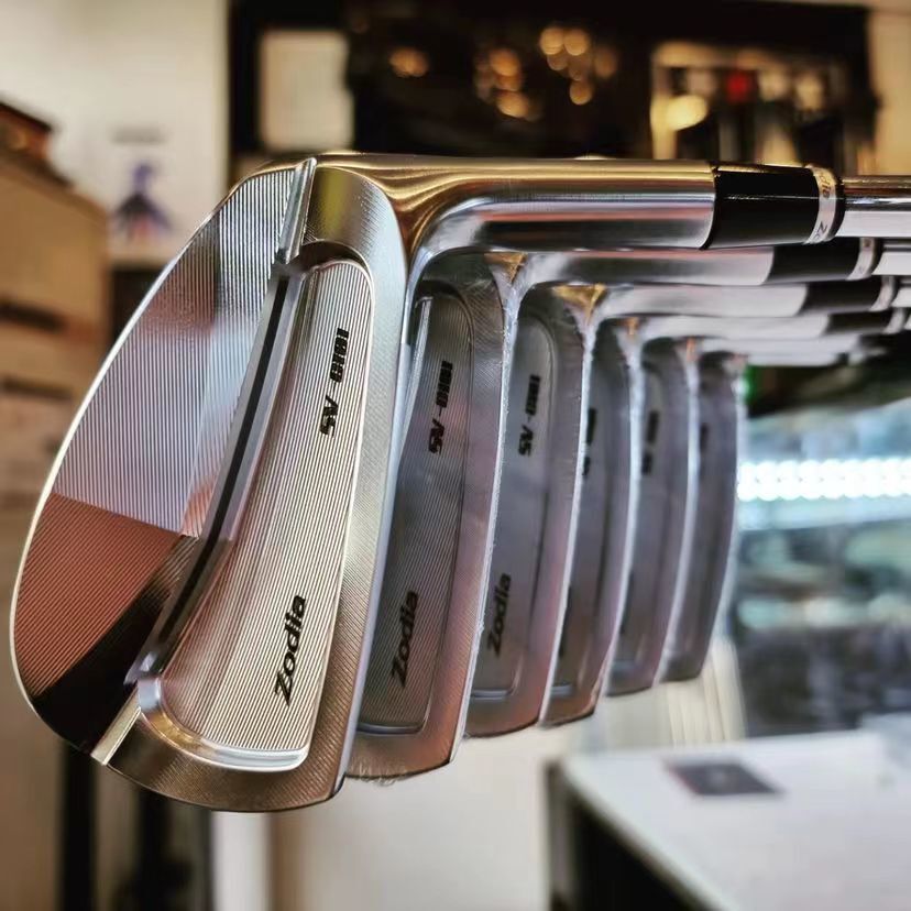 SV-C101 irons