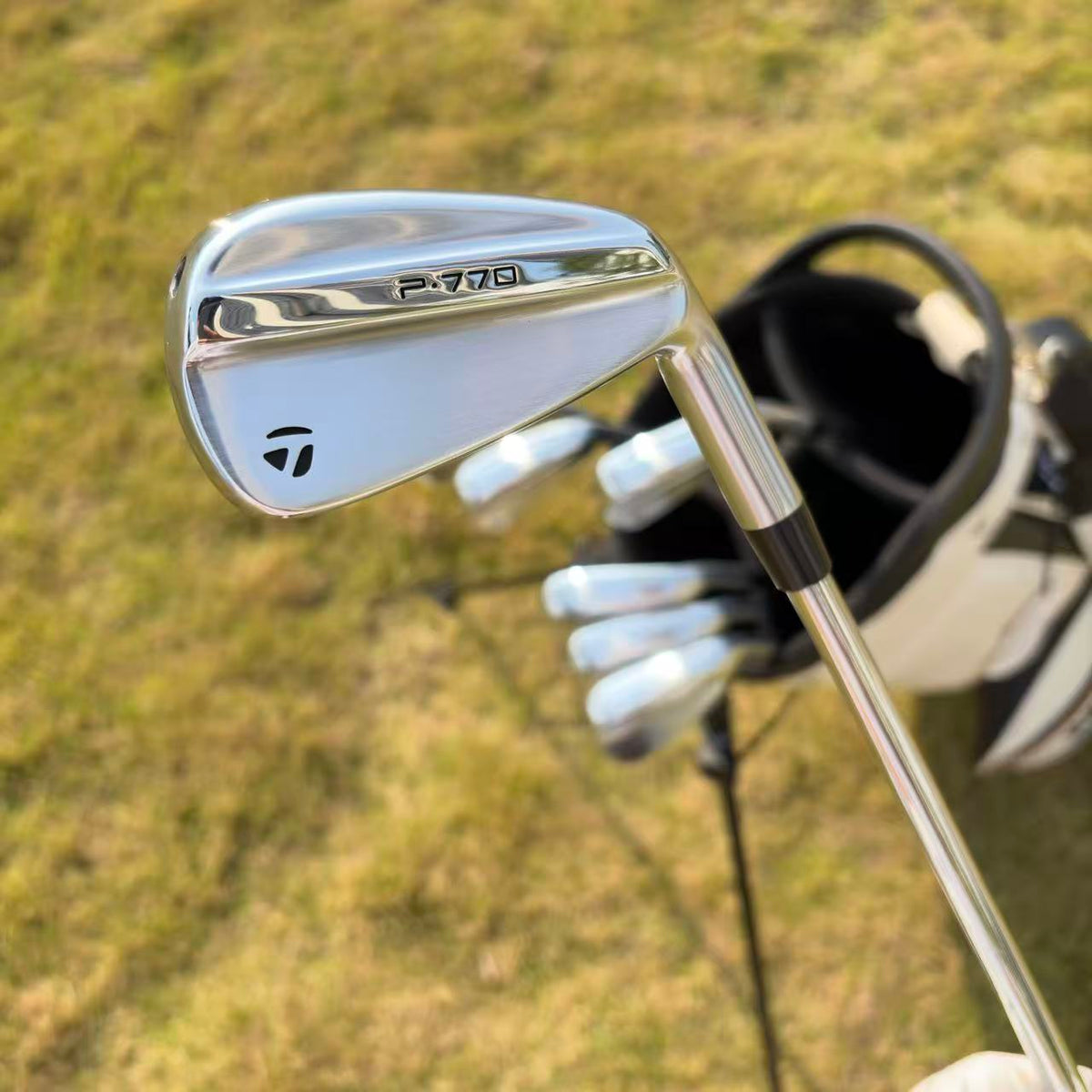 Taylormade P770-2025 Silver irons