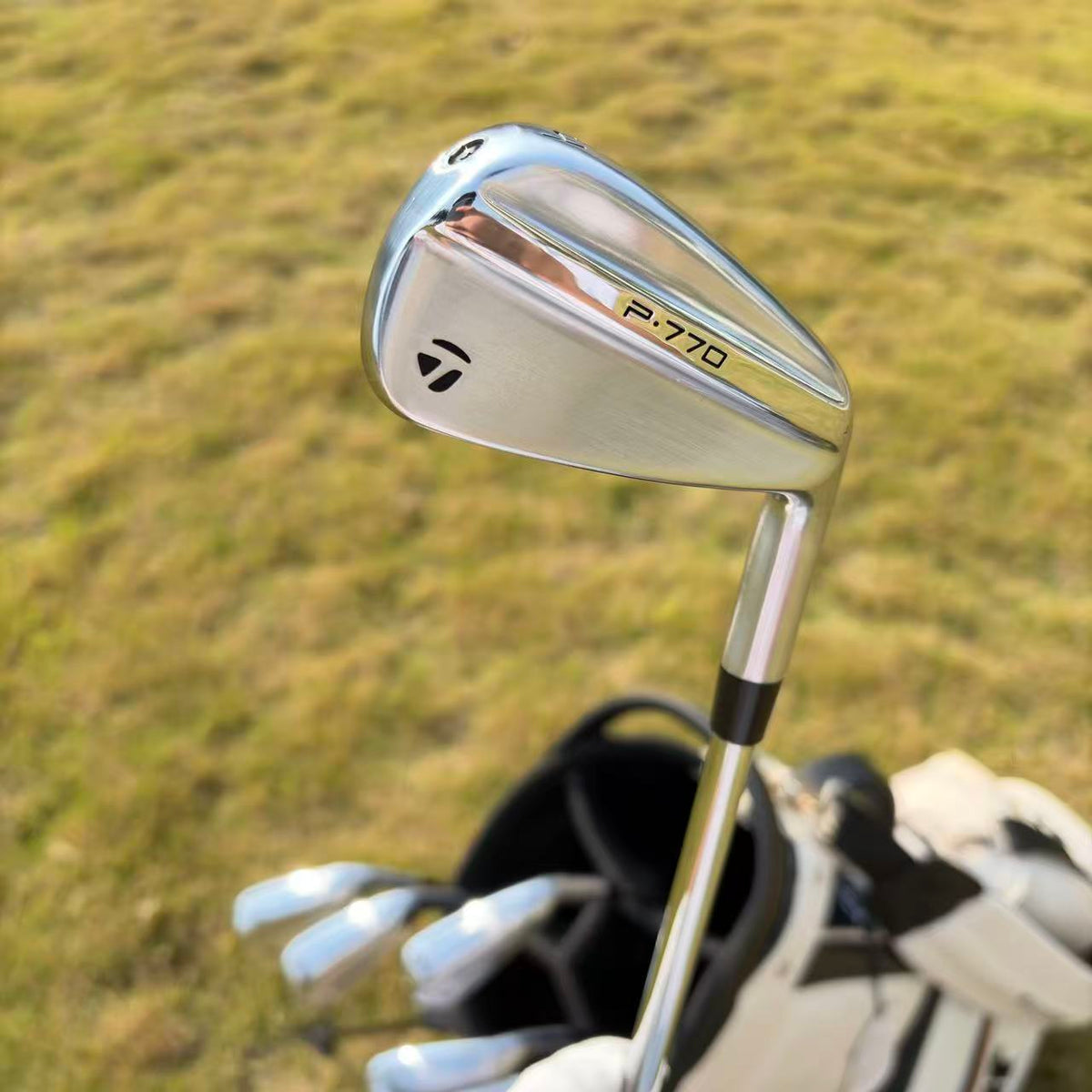 Taylormade P770-2025 Silver irons