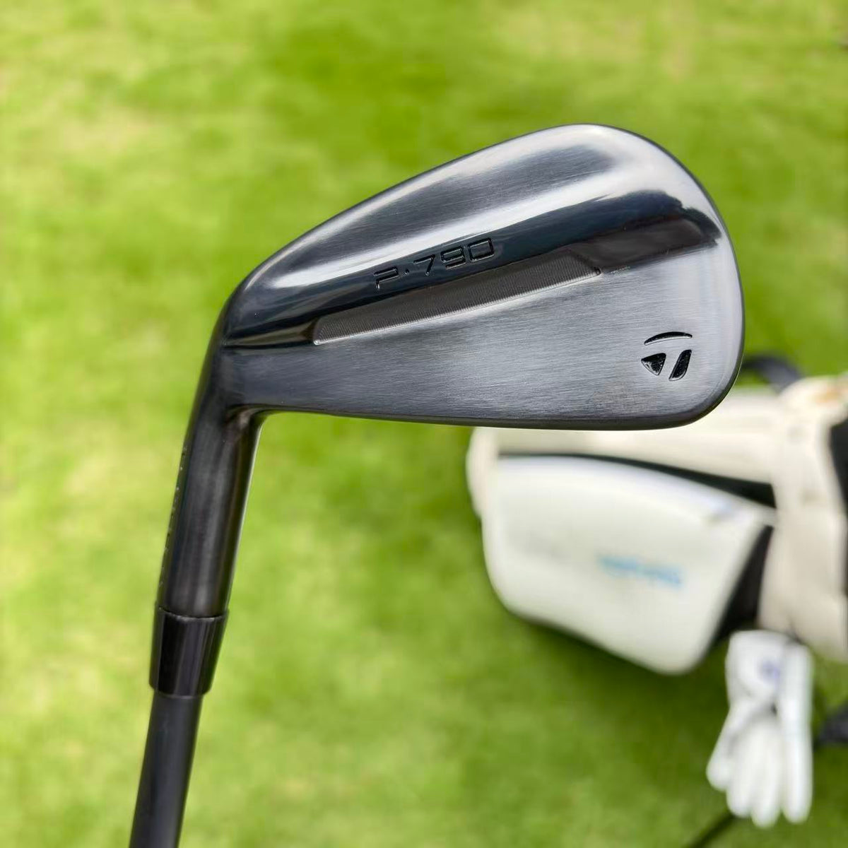 Taylormade 2025 Left hand P790 Black irons