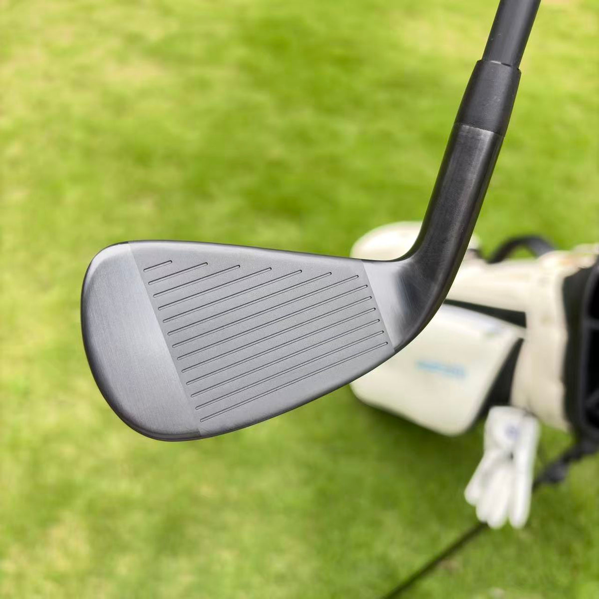 Taylormade P790-2025 Black irons