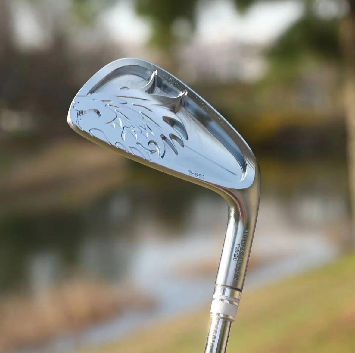 EMILLID BAHAMA EB-801 Irons