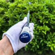 Callaway AI SMOKE Driver