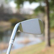 EMILLID BAHAMA EB-801 Irons