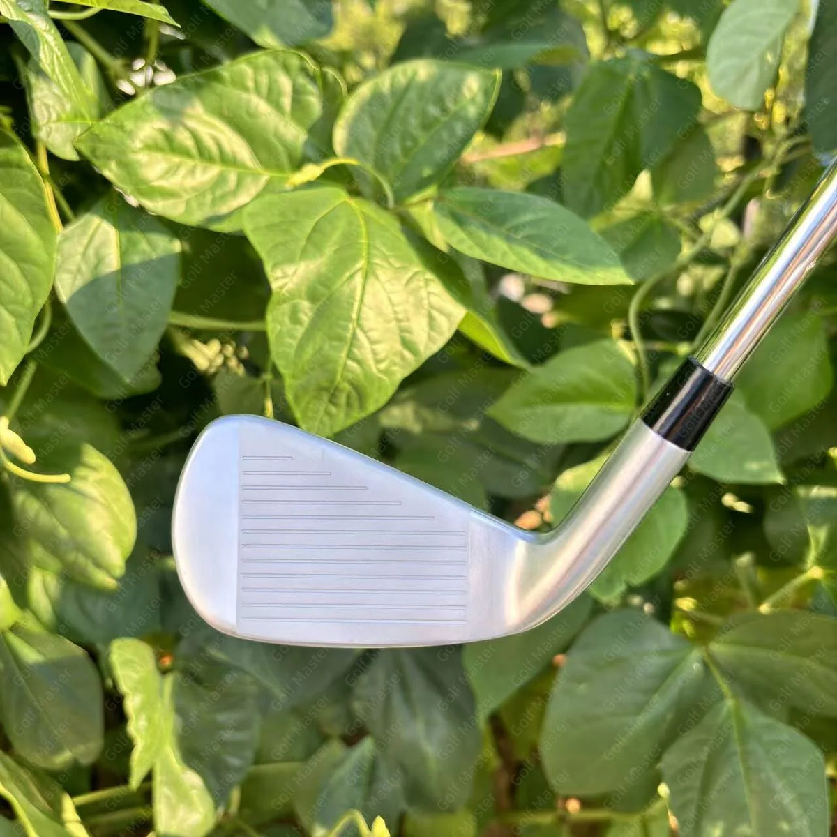 Taylormade P790-2025 Silver irons