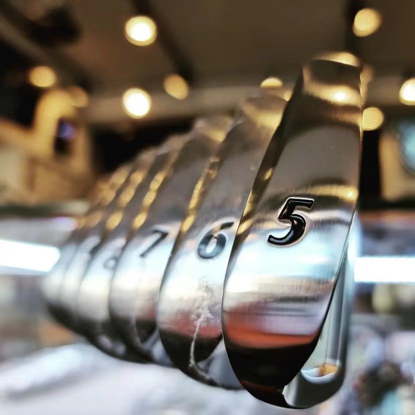 SV-C101 irons