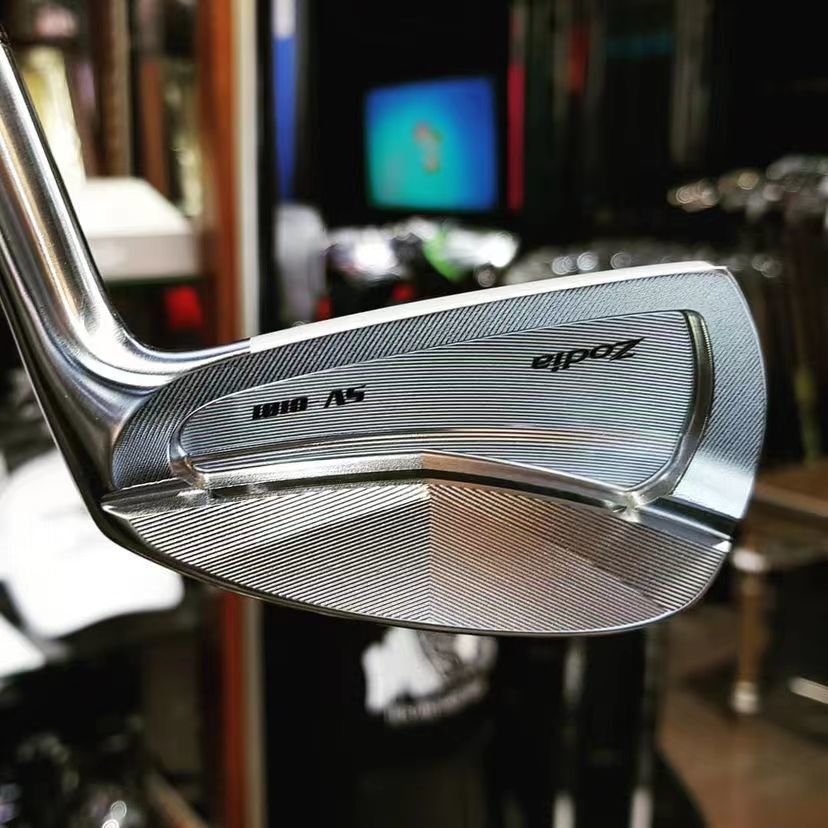 SV-C101 irons