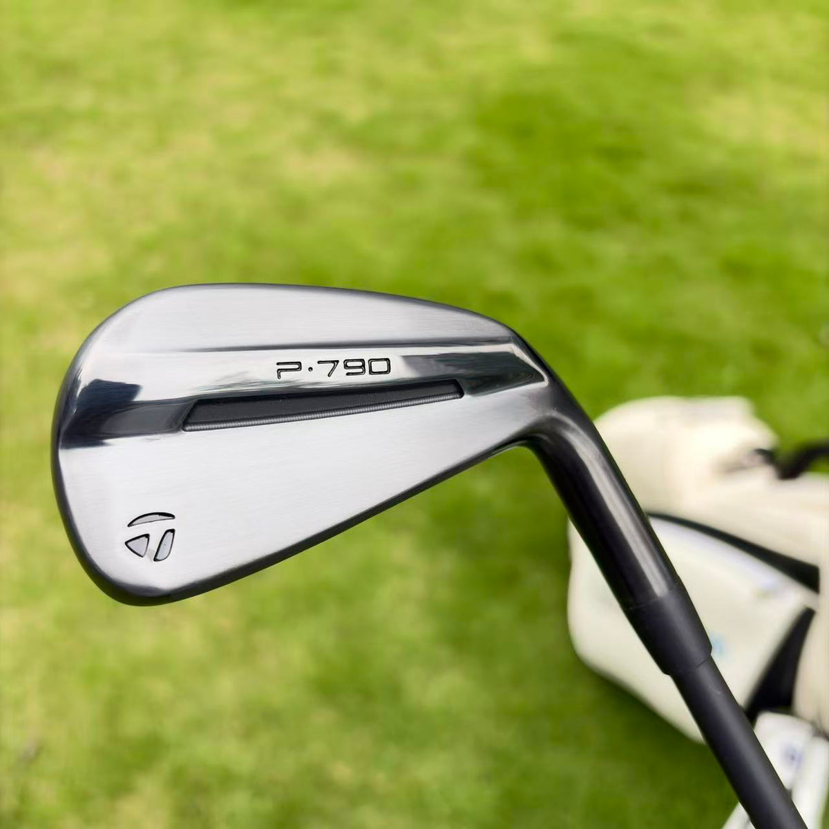 Taylormade P790-2025 Black irons